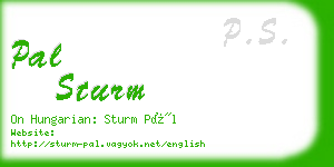 pal sturm business card